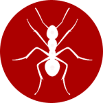 ant control queens ny