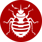 bed bug exterminator queens ny