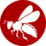 bee exterminator queens ny