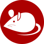 mice control queens ny