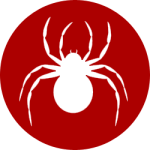 spider control queens ny